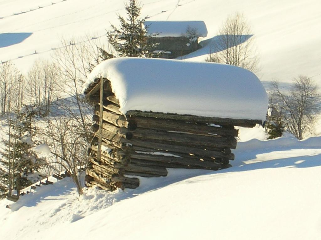 Haus Konrad Lejlighed Reith im Alpbachtal Eksteriør billede